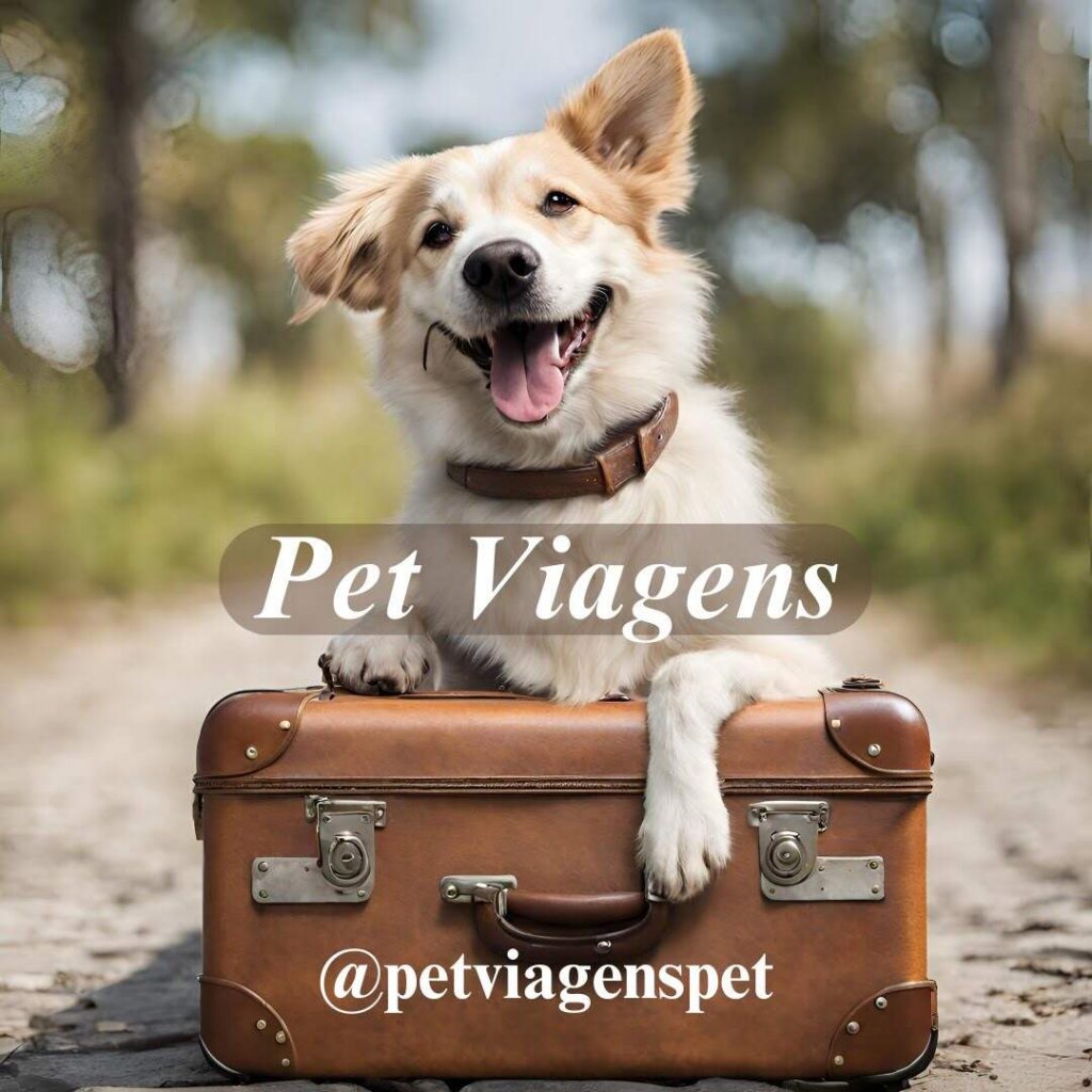 Instagram Pet Viagens - Viagens Bacanas 