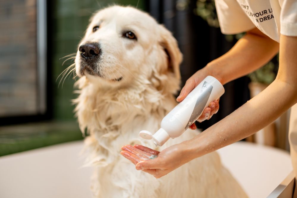 Shampoo para Pets - Viagens Bacanas